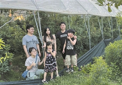 文成華僑意大利種楊梅迎來采摘期